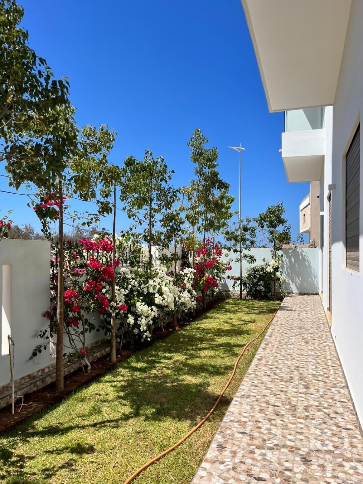 Villa Africa Essaouira Exterior foto